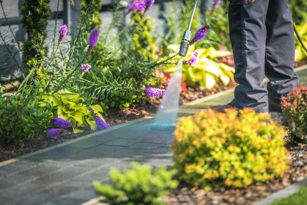 Best Animal Enclosure Cleaning  in Perryville, MO